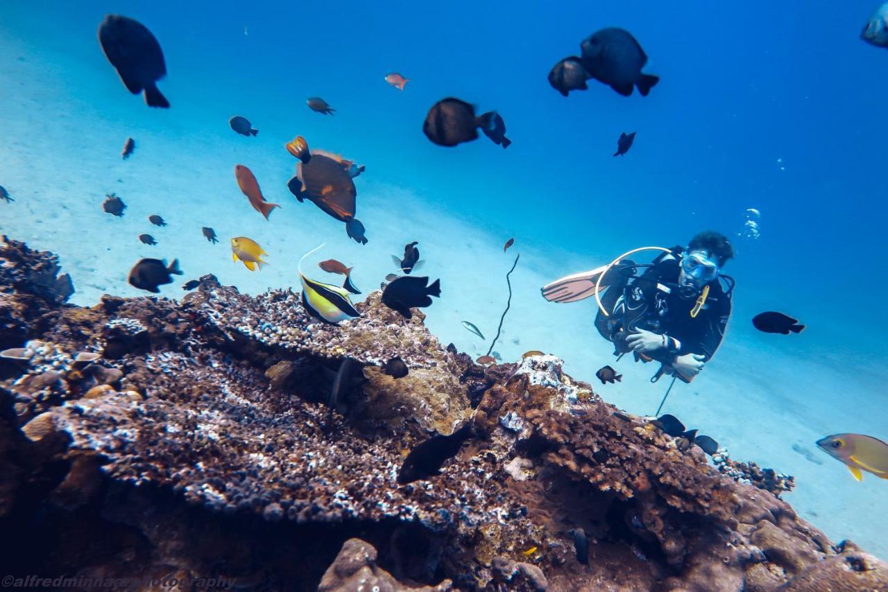 Manta Dive Gili Trawangan Resort Экстерьер фото